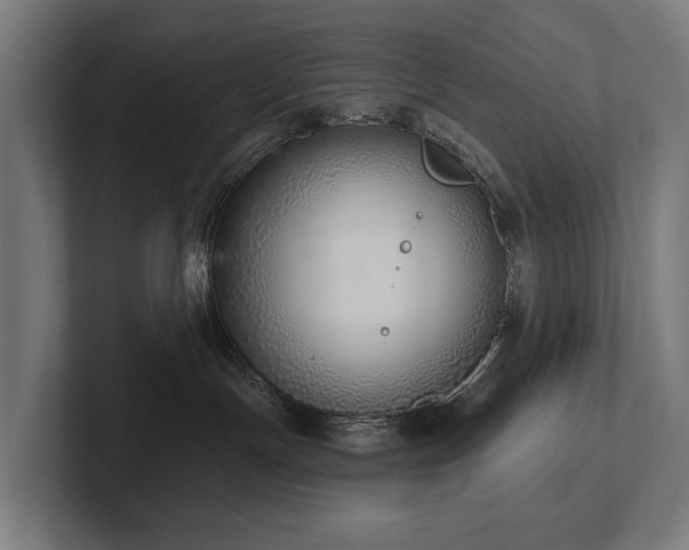 X0000102360191200808011500