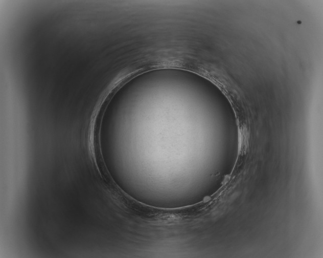 X0000102360195200808011459