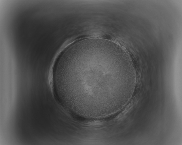 X0000102360198200808011459