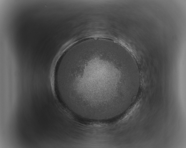 X0000102360199200808011459