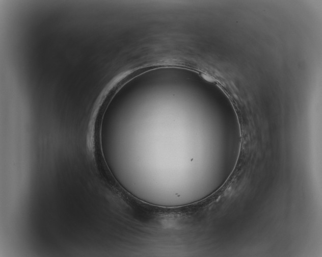 X0000102360200200808011459