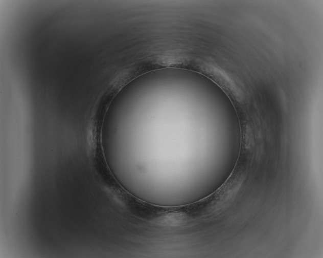 X0000102360210200808011459