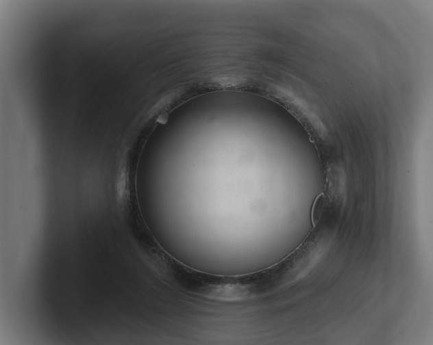 X0000102360212200808011459