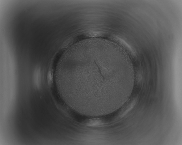X0000102360214200808011459