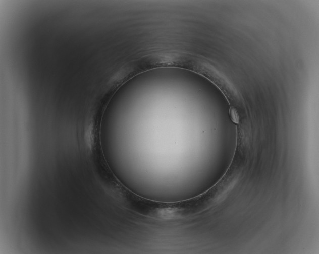 X0000102360216200808011459