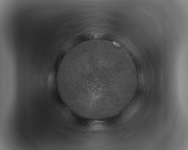 X0000102360222200808011459