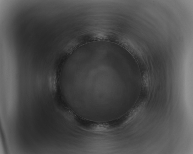 X0000102360223200808011459