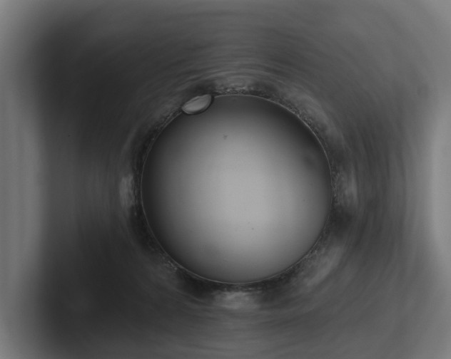 X0000102360224200808011459