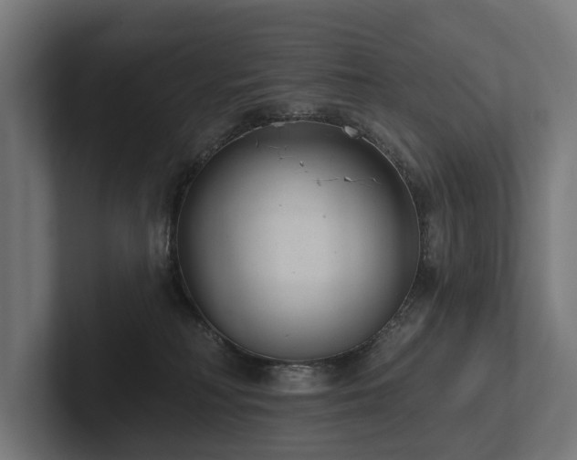 X0000102360230200808011459