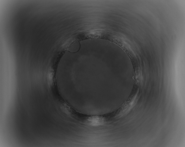 X0000102360231200808011459