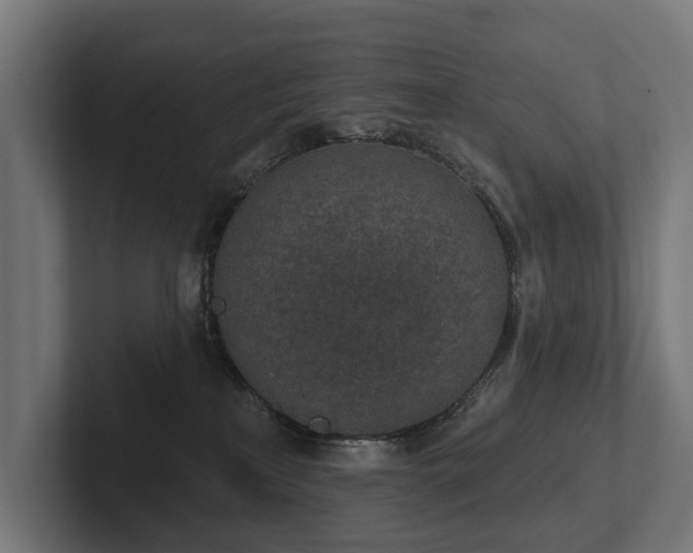 X0000102360233200808011459