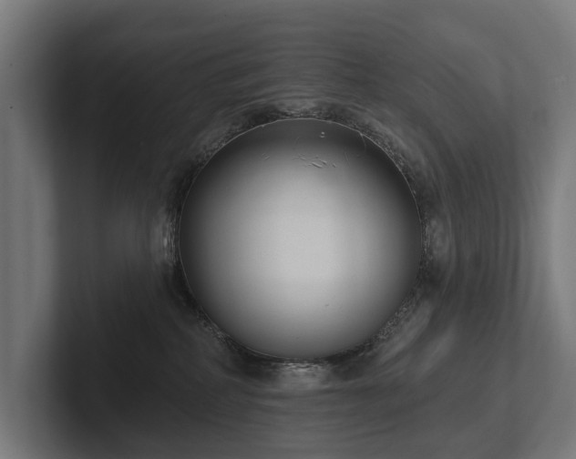 X0000102360234200808011459