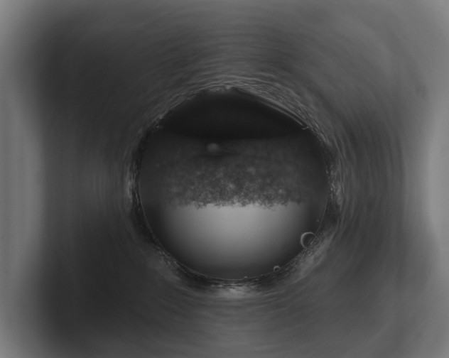 X0000102360235200808011459