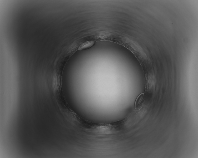 X0000102360236200808011459