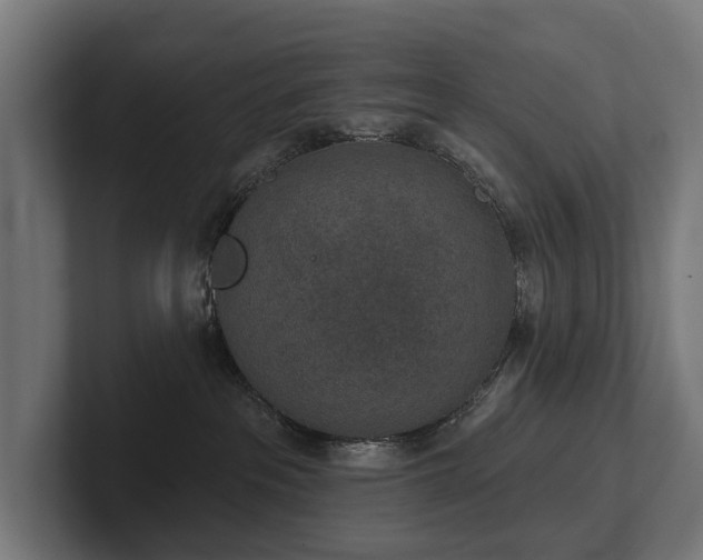 X0000102360237200808011459