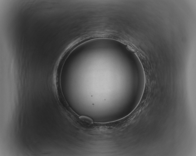 X0000102360244200808011458