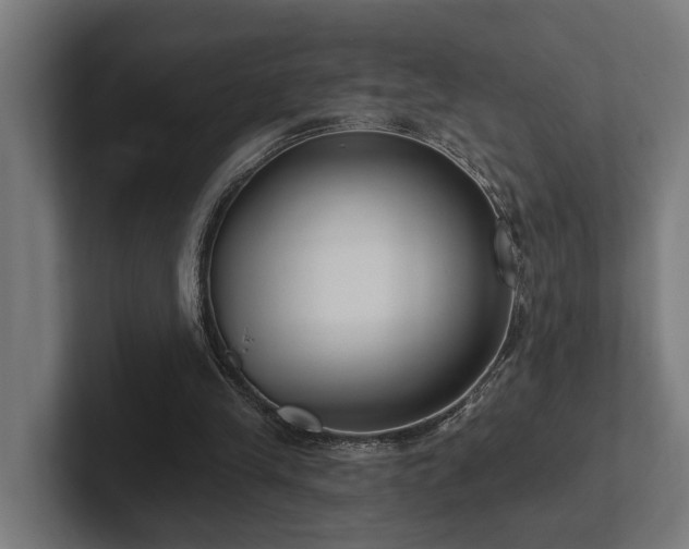 X0000102360245200808011458