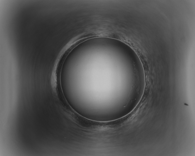 X0000102360246200808011458