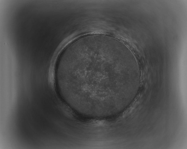 X0000102360247200808011458