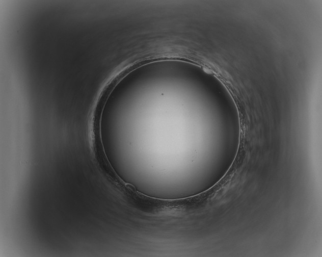X0000102360248200808011458