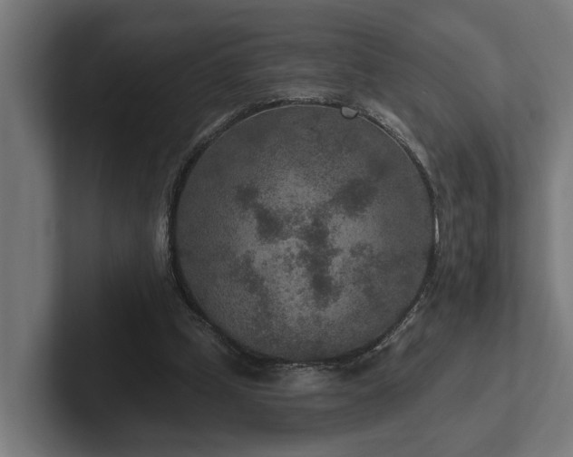 X0000102360249200808011458