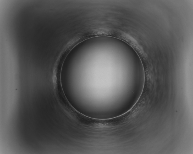 X0000102360250200808011458