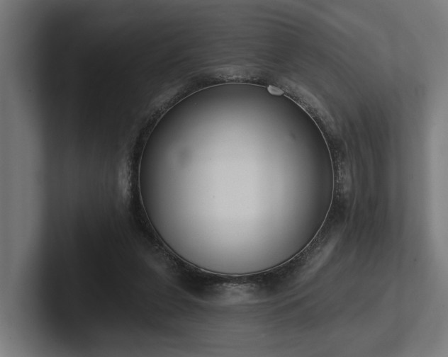 X0000102360255200808011458