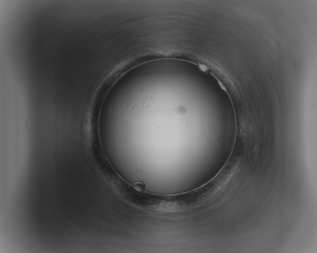 X0000102360256200808011458