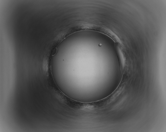 X0000102360257200808011458
