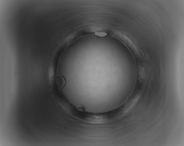 X0000102360260200808011458