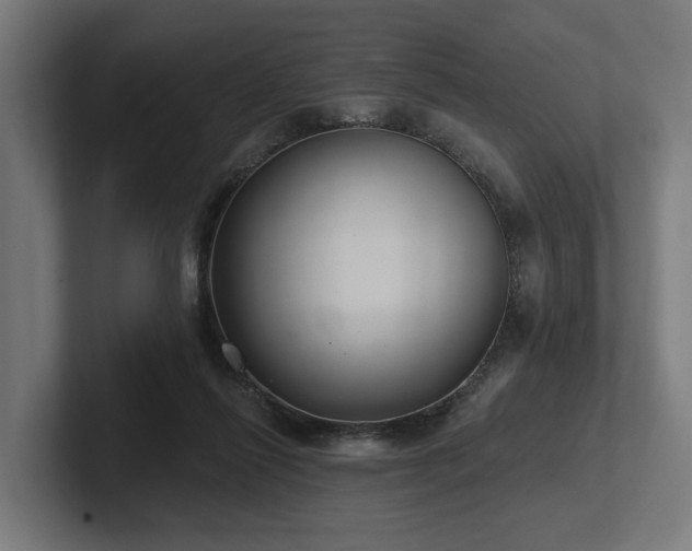 X0000102360262200808011459