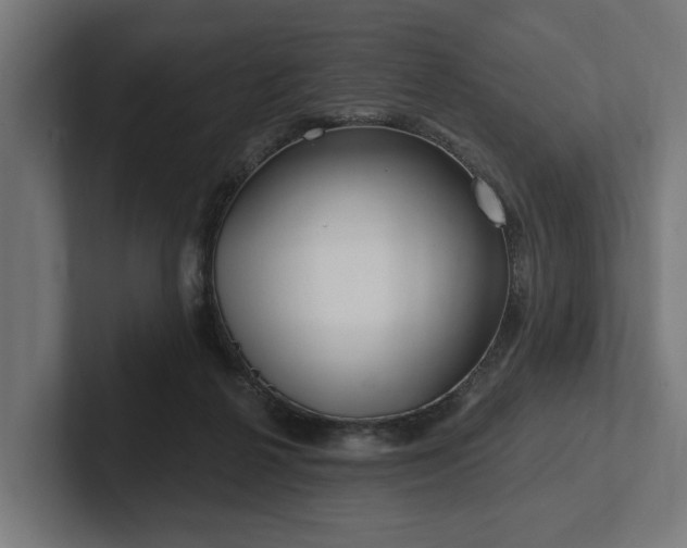 X0000102360264200808011459