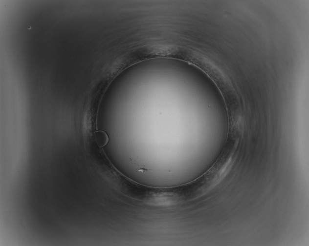 X0000102360268200808011459
