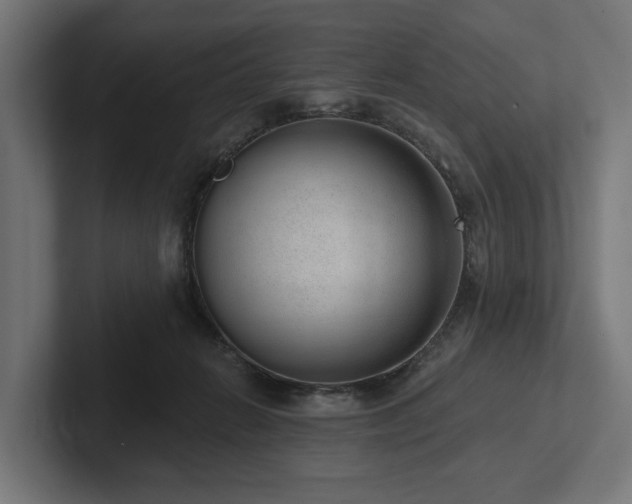 X0000102360270200808011459