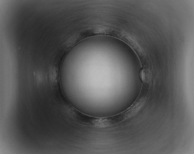 X0000102360273200808011459
