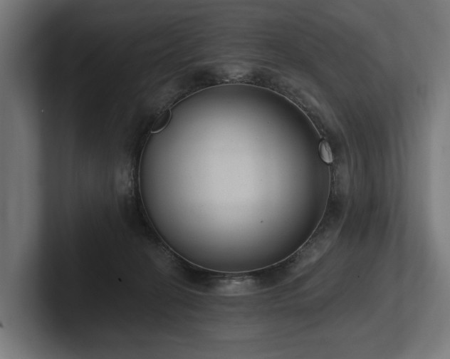 X0000102360274200808011459