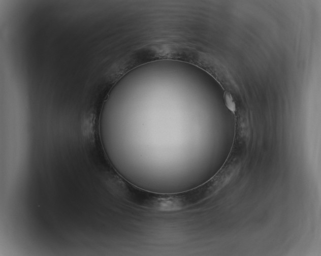 X0000102360275200808011459