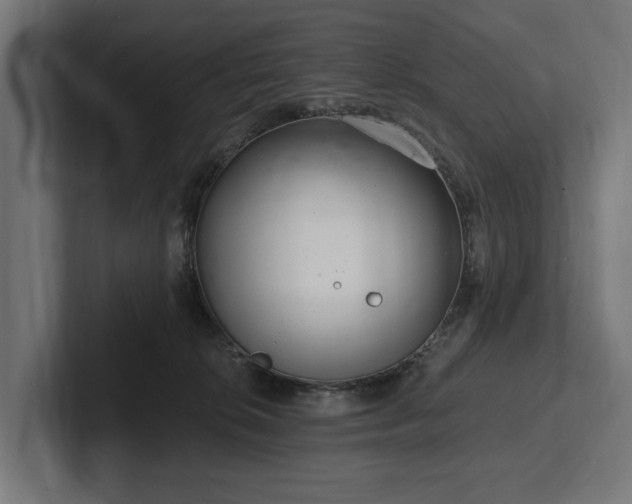 X0000102360276200808011459