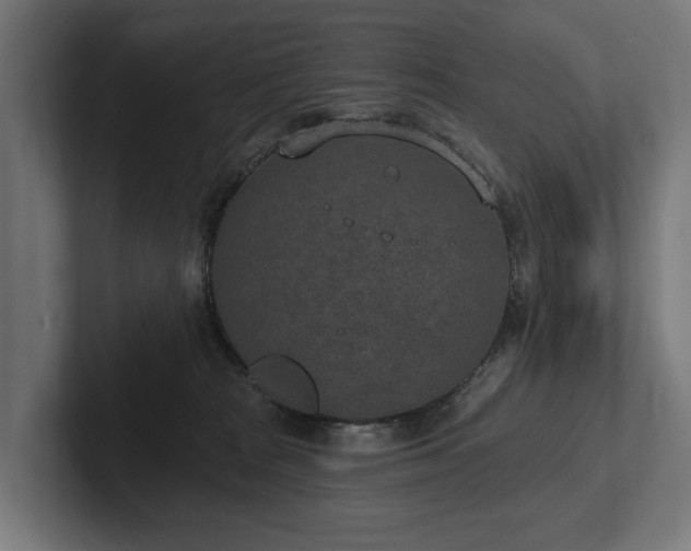X0000102360277200808011459