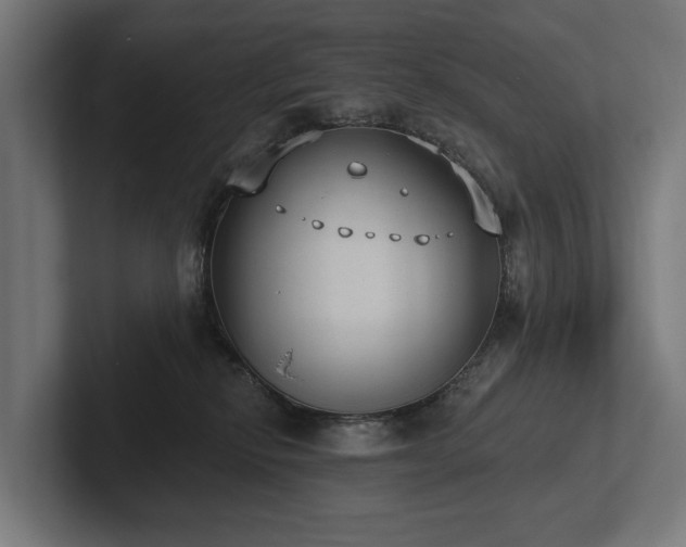 X0000102360278200808011459