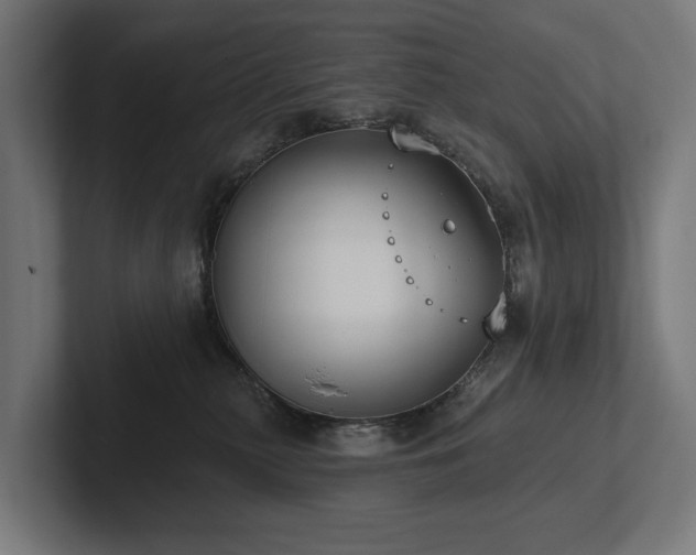 X0000102360279200808011459