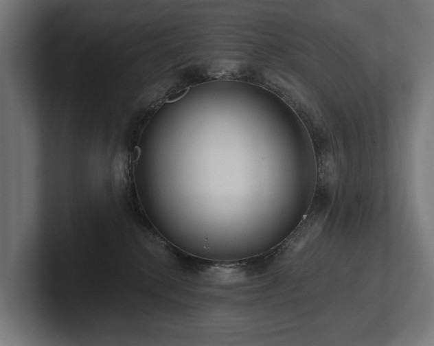 X0000102360280200808011459
