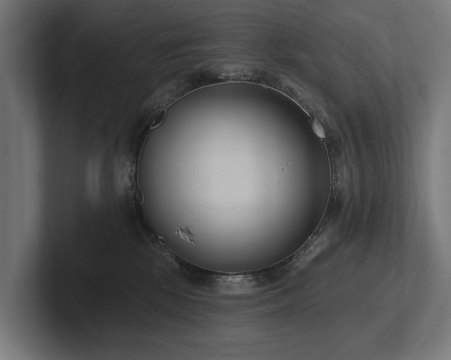 X0000102360281200808011459