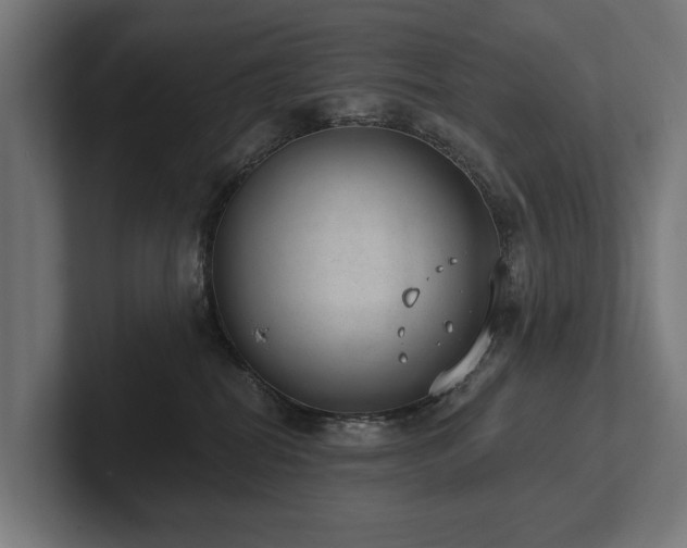 X0000102360282200808011459