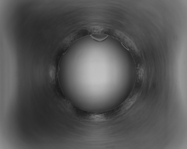 X0000102360283200808011459
