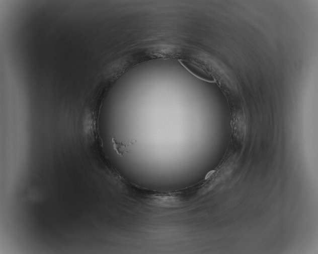 X0000102360284200808011459