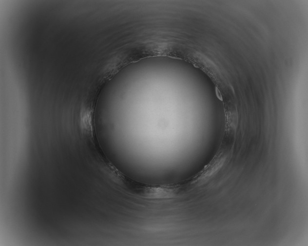 X0000102360286200808011459