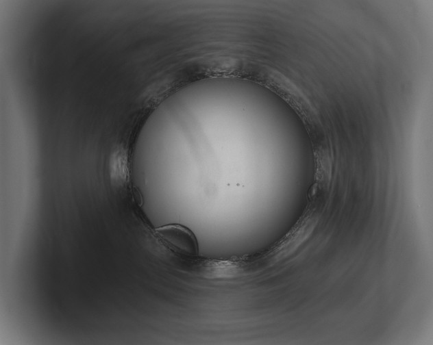 X0000102360287200808011459