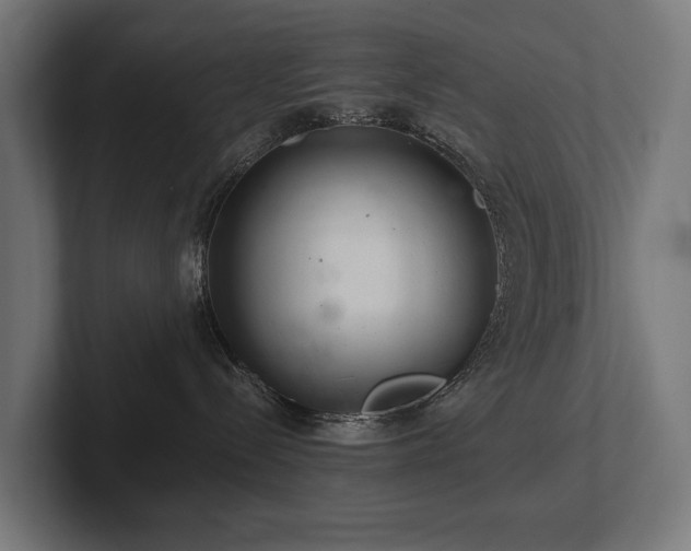 X0000102360288200808011459