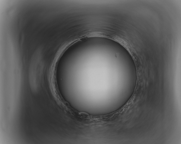 X0000102360289200808011458